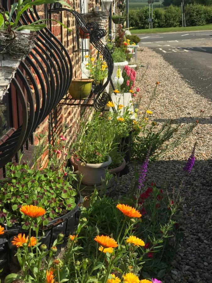 Yarm Cottages Sleeping 12 Kirklevington Εξωτερικό φωτογραφία